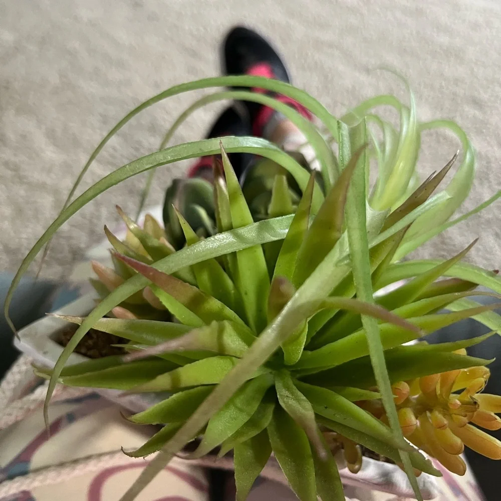Marble Hanging Planter with Fake Green Succulent.